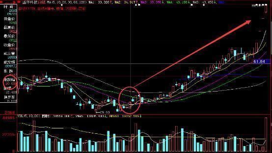 中国股市完成最后的屠杀，重大阴谋已被坐实，所有散户毫不知情？