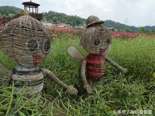 利川一女子隐居乡村3年，种下一大片浪漫花海，美哭啦……