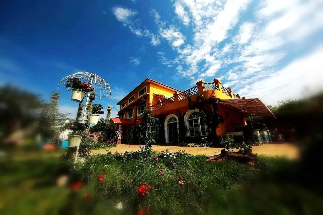 一对夫妻把青白江农家改造成“田园牧歌”，从此家有美景何必远方