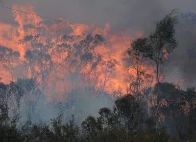 巴西火灾与澳洲火灾