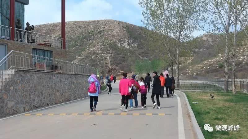 清明小长假峰峰又火了！强势霸屏多家媒体！