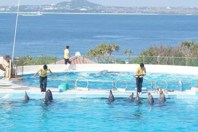 如果旅行是毒药，那姐妹淘就是我的解药！