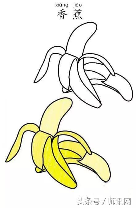 师讯网推荐--儿童简笔画大全教程,动植物交通工