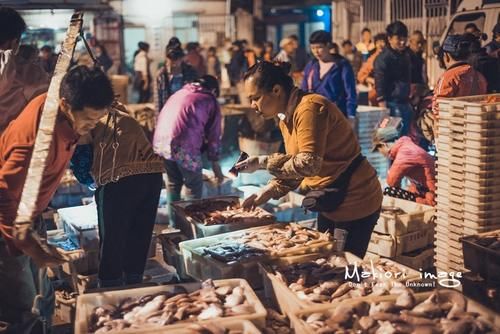 国家为什么不管北海