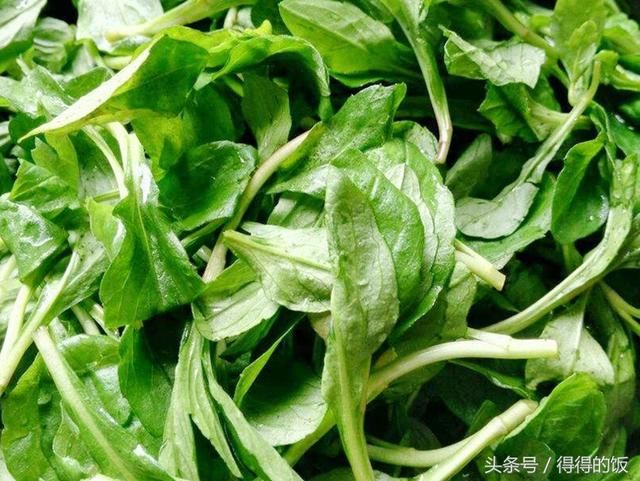 五种可以吃的野菜，你们吃过几种呢？附做法，值得收藏