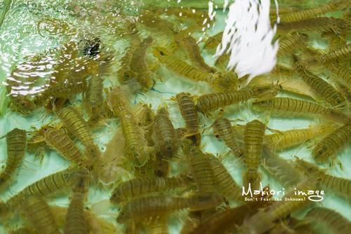 国家为什么不管北海