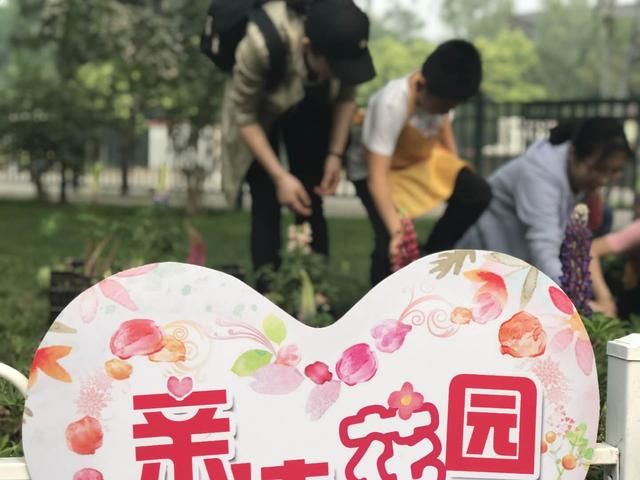 “五一”假期玉渊潭公园首邀亲子家庭栽植鲁冰花