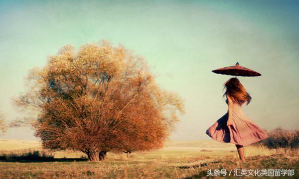 国内考研VS出国读研,到底该如何选?