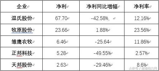 成本最低5.09元\/斤！温氏、牧原、雏鹰……谁是中国养猪之王？