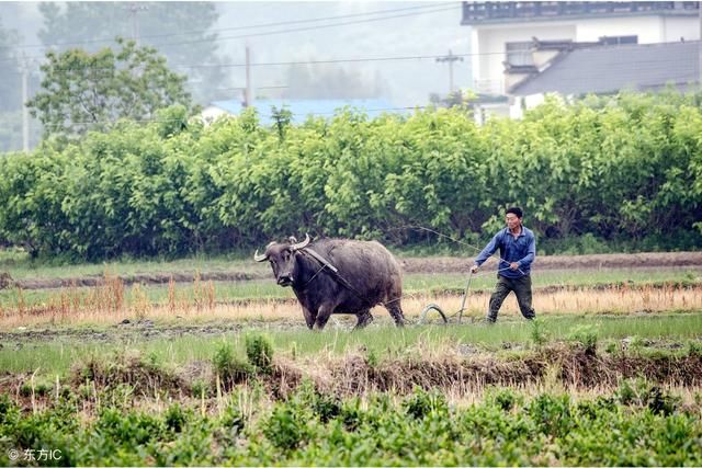 2018年，农村“新政策”公务员或村干部，将被直接取消扶贫资金！