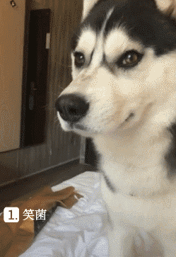 说你两句还抽上了,哭啥哭,有啥冤的?↓