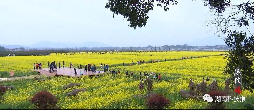 ［视频］央视“走遍中国”为何走进湖南这地的乡村？