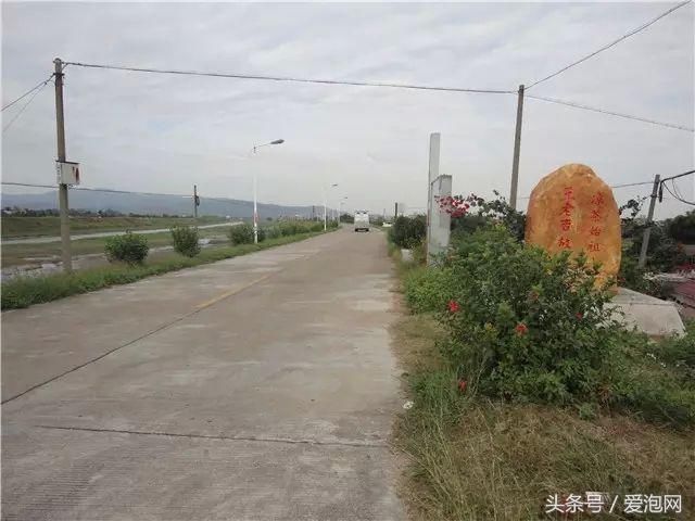 江门市这几条最美乡村公路，到江门自驾旅游必去