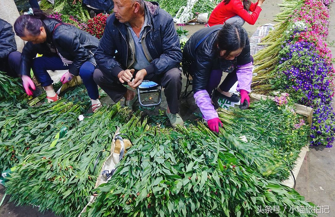 探秘云南昆明凌晨花市，那么多漂亮的花，在这里会是什么价?