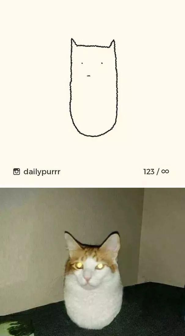 喵姐在哪里 t01340142ac4c5a79e5.jpg