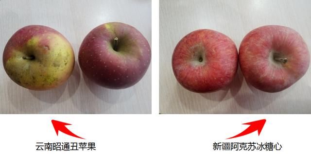 苹果的原壁纸在哪里 t013412ac6e5bd7354e.jpg