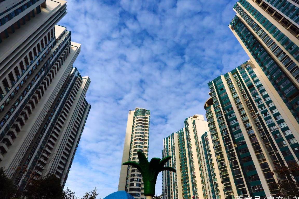 人均多少平米收房产税_收米图片(2)