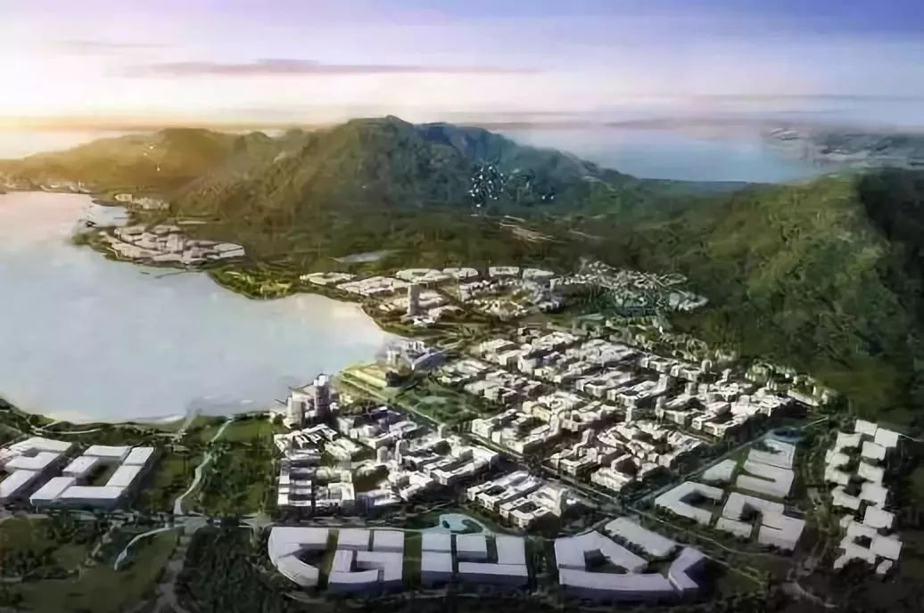 深圳市长指定的: 17个重点发展区域
