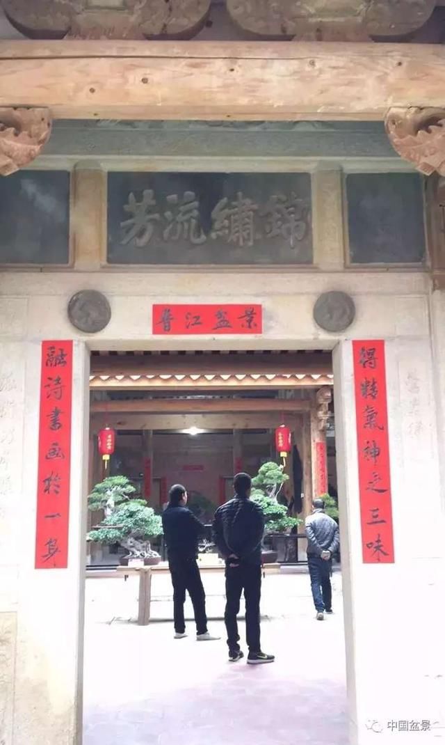 2018五店新春盆景展 真是让盆友大饱眼福