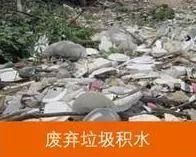 「北京疾控提醒您」北京蚊子图鉴，拥有这套防蚊指南让你和蚊子说