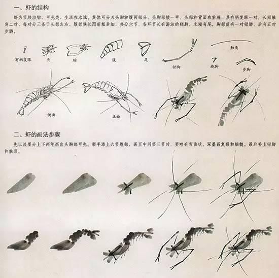 国画花鸟技法:几种虫儿、鸟儿的画法