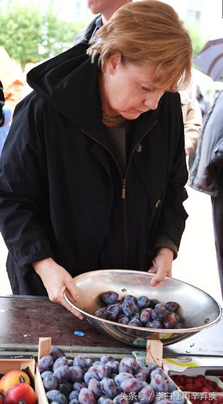 “主妇默克尔”演讲结束后 水果摊买李子番茄自己掏钱