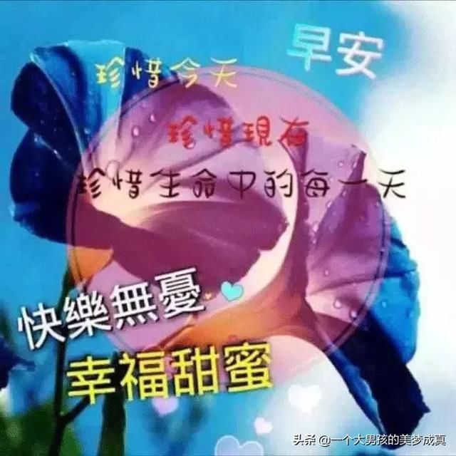 清晨早安问候表情图片图片,最美早上好祝福动表情包的动态猫可爱图片