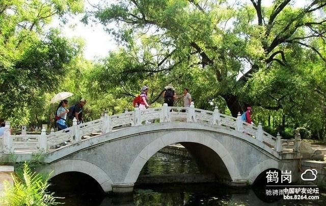 游佳木斯杏林湖公园