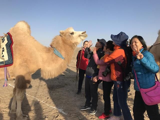 这次西北旅行，刚好赶上蒙古族达慕大会“相当于汉族的大年三十”