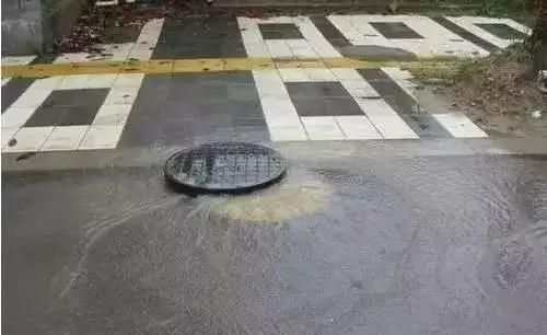 预报的雨下起来了！暴雨就要来了！你这么漂亮，可别被淋到啊