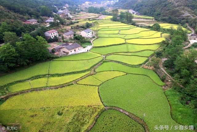 农村里现在这四种致富项目 入行需谨慎