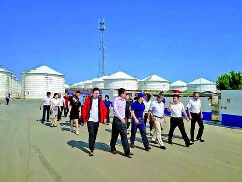 投资公司和投资发展有限公司