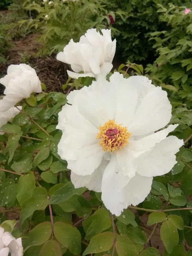 五一旅游好去处：洛阳！城市旅游不虚此行