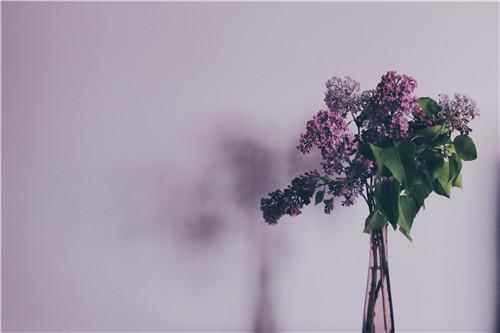 情人节，有这5个表现的男人，一定很在意你！