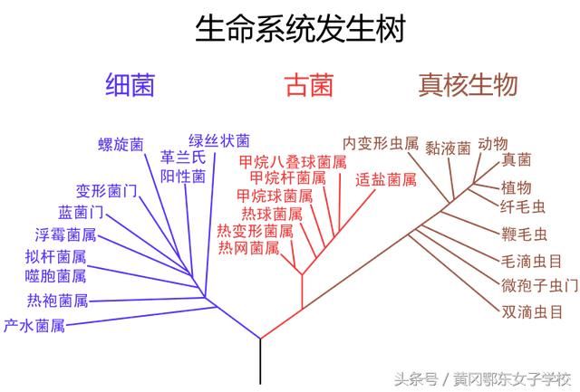目前唯一有生命的星球,人类的摇篮地球介绍