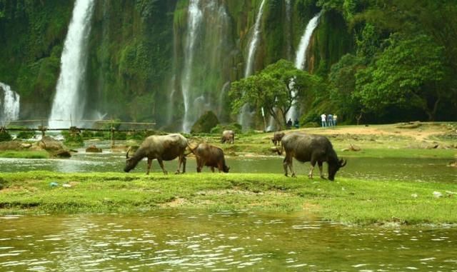 老表去越南旅游，犹豫要不要找个当地女导游，面对很多人骑虎难下