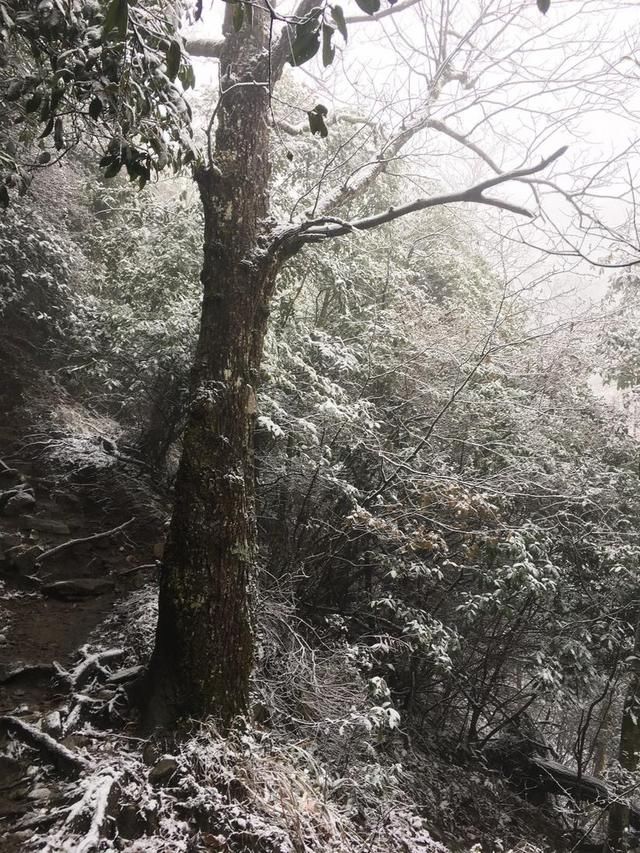 白色武功之龙山村-发云界-金顶-索道