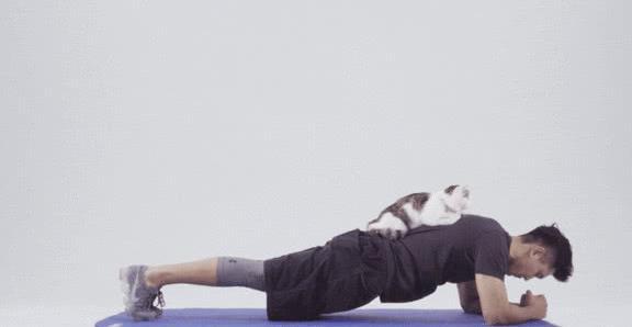 常练平板支撑对身体有什么好处?坚持时间越