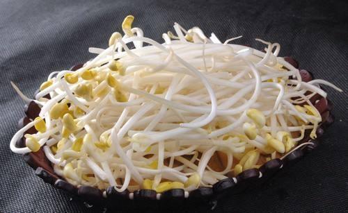 肉丝炒豆芽用什么调料 t013692d5973c6d4e9a.jpg