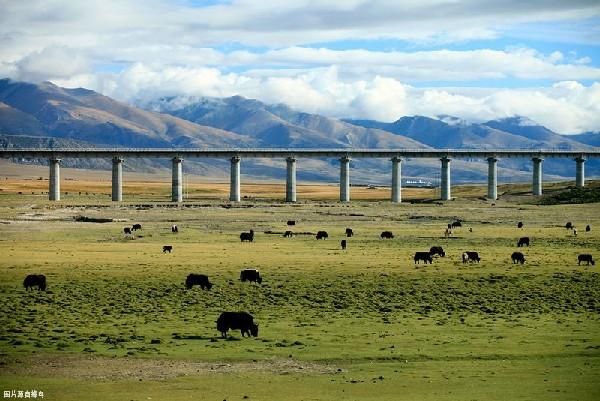 初次进藏,选择坐飞机还是火车?