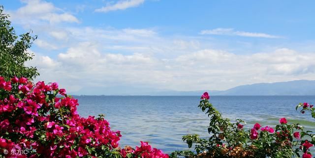 双色球2018019期八卦双色球精彩推荐在这里