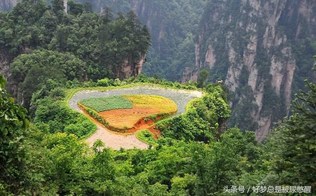 全球最险的一块空中稻田就在中国 位于2000米山峰之巅