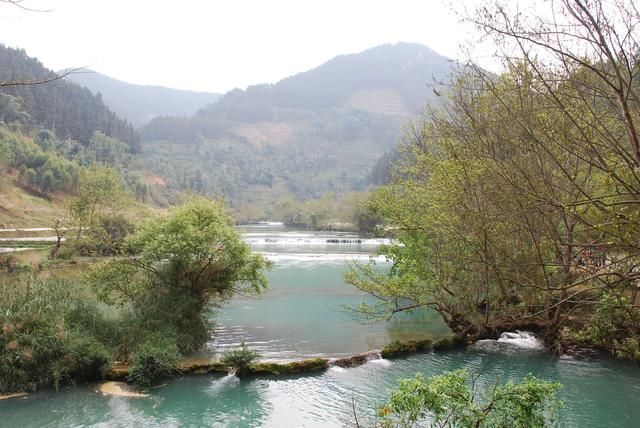 随走札记｜一到春天，罗平就变成了多彩的世界