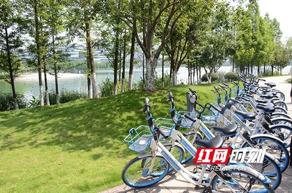 来骑车!湖南湘江新区慢行道规划设计师就是