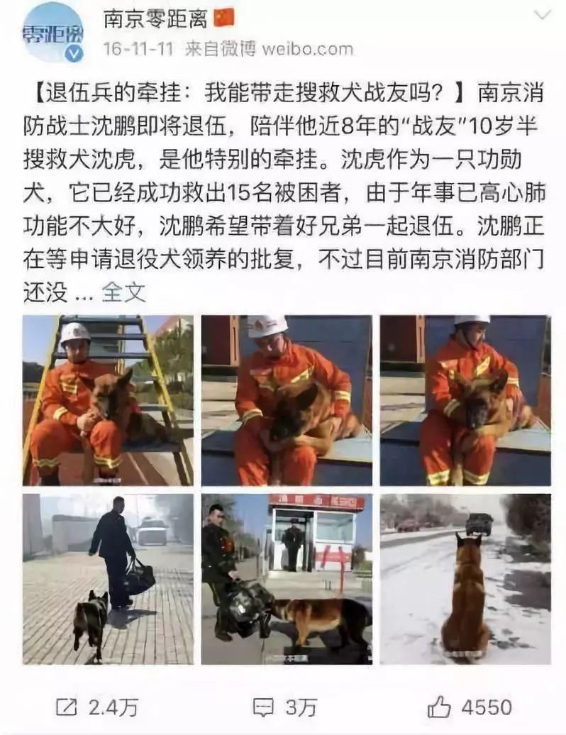 中国的地震救