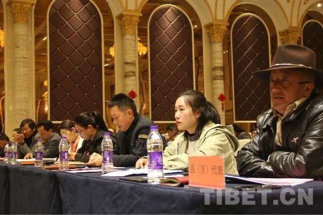 严厉打击各类扰乱旅游市场行为 拉萨旅游市场专项整治活动重磅出