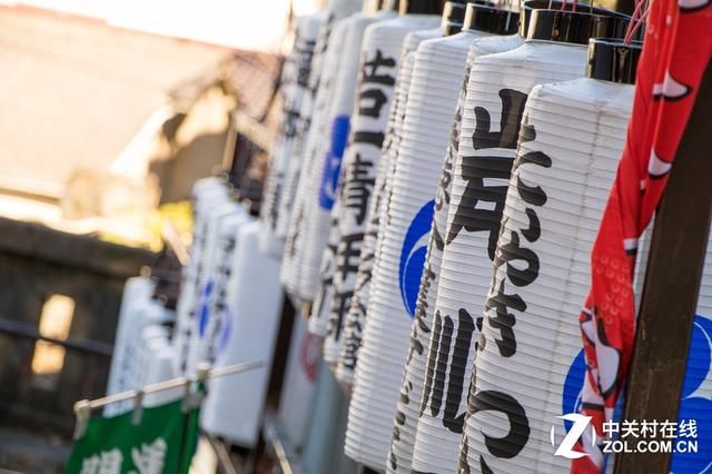 大C游世界 秋季旅拍日本东京的红叶街景