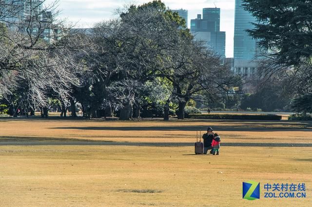 大C游世界 秋季旅拍日本东京的红叶街景