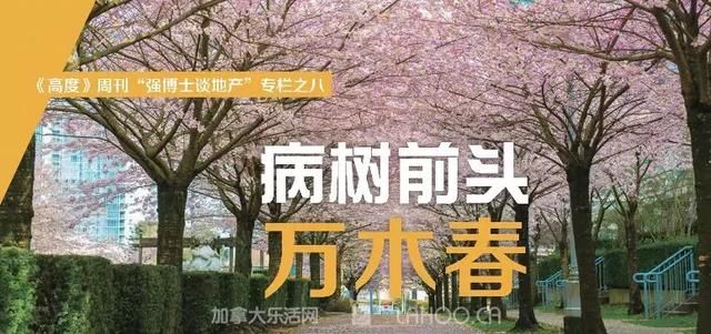 强博士谈地产：病树前头万木春