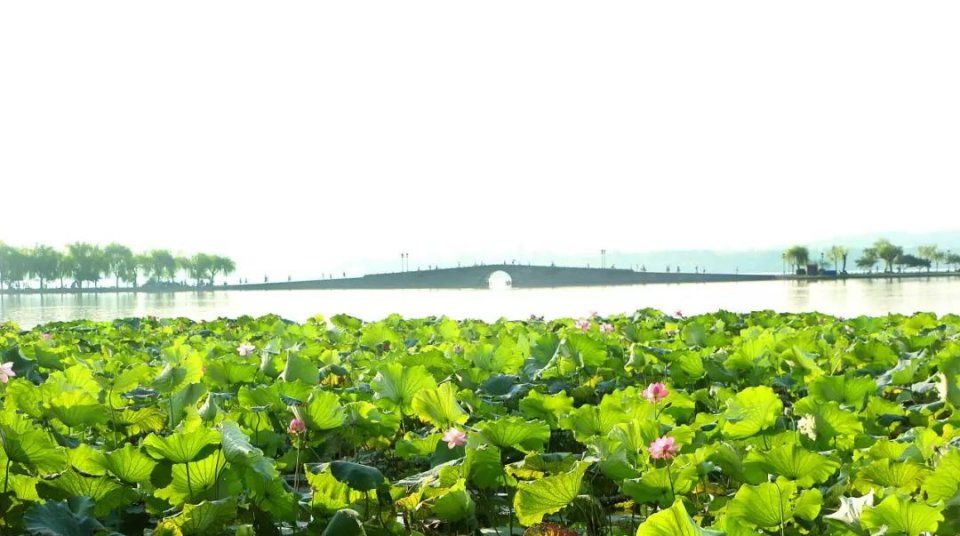 变革“门票经济”,陕西的“大帐”是这么算的